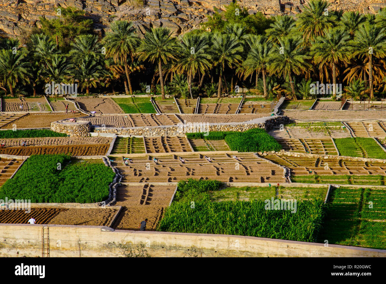 Vista di Ghul villaggio fantasma, Al Hamra, Oman. Foto Stock