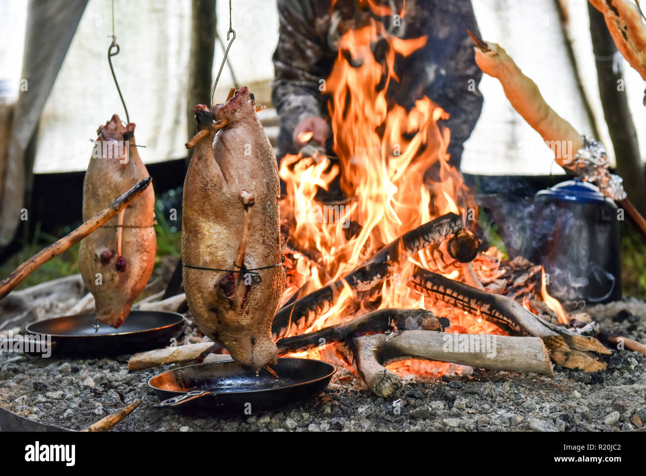 Oche cucinare in un incendio all'interno di un teepee, popolazioni indigene, Northern Quebec Foto Stock