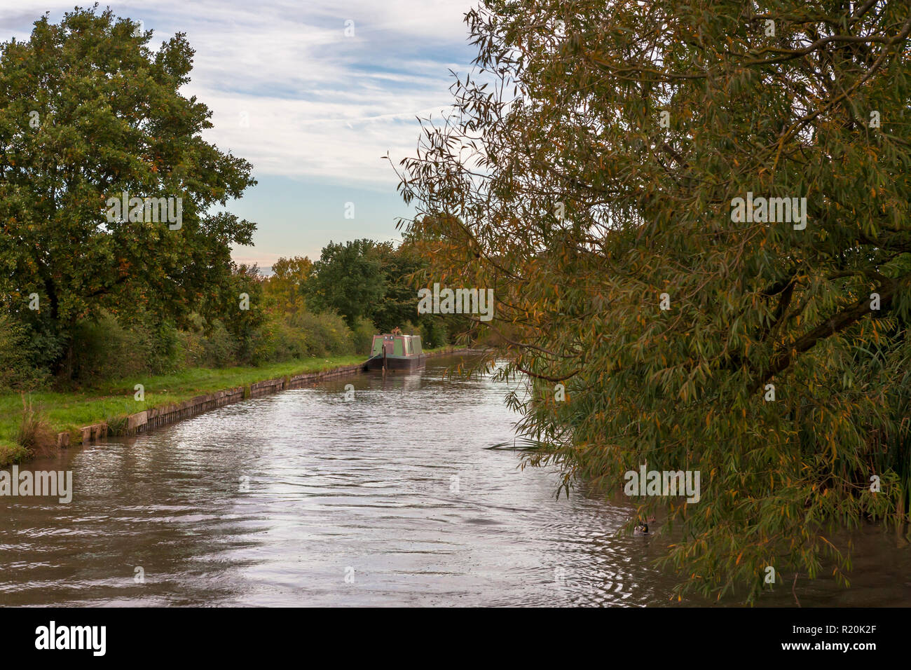 Ashby Canal vicino Shenton, Leicestershire, England, Regno Unito Foto Stock