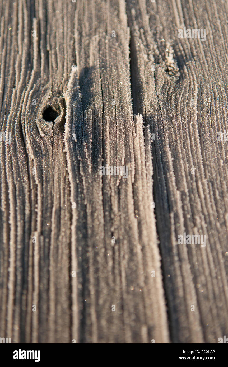 Un pezzo di legno bloccato che mostra il gelo e la granella Foto Stock