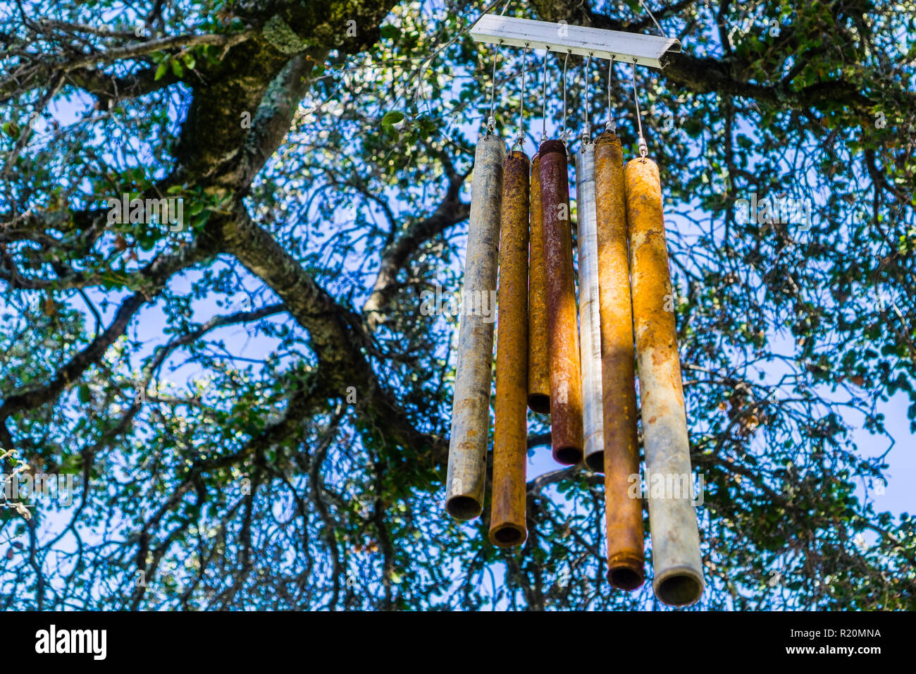 Vecchie e arrugginite, metallo wind chime, appeso ad un ramo di un live Oak tree Foto Stock