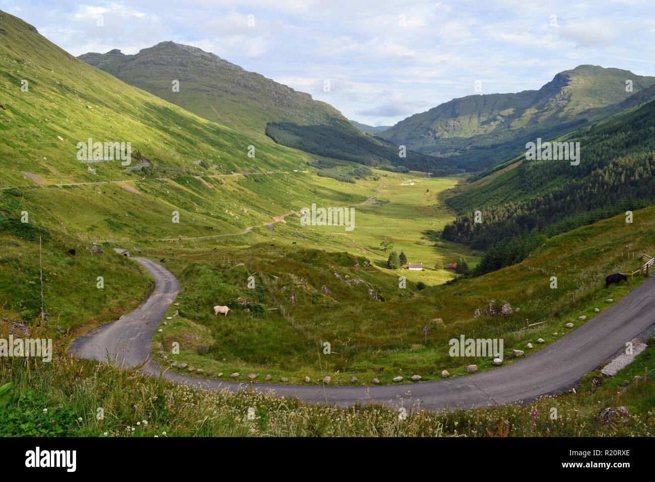 Il resto e essere grati, Loch Lomond e il Trossachs National Park, Argyll, Scotland, Regno Unito Foto Stock