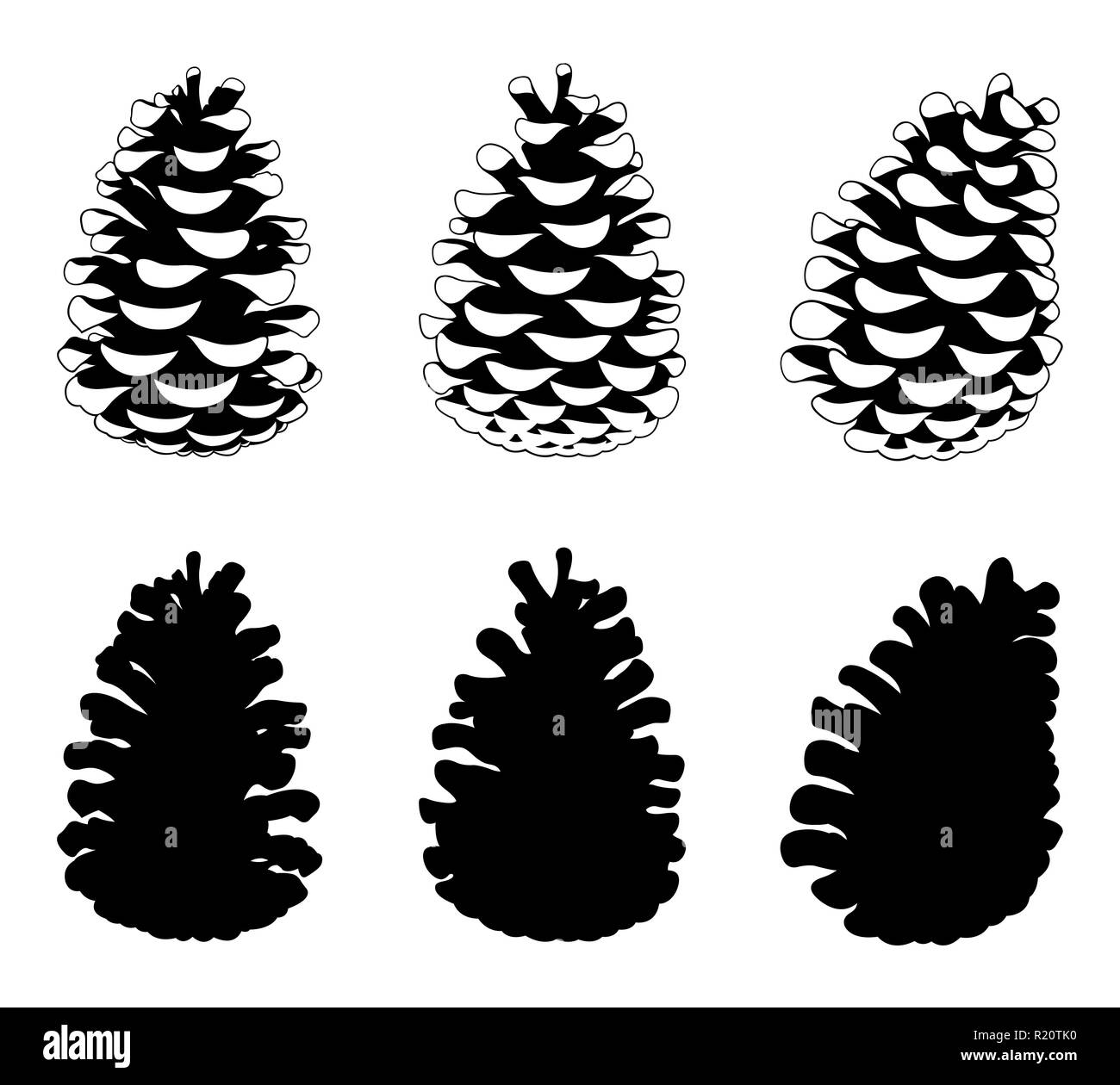 Insieme di diversi pigne isolato su bianco Foto Stock