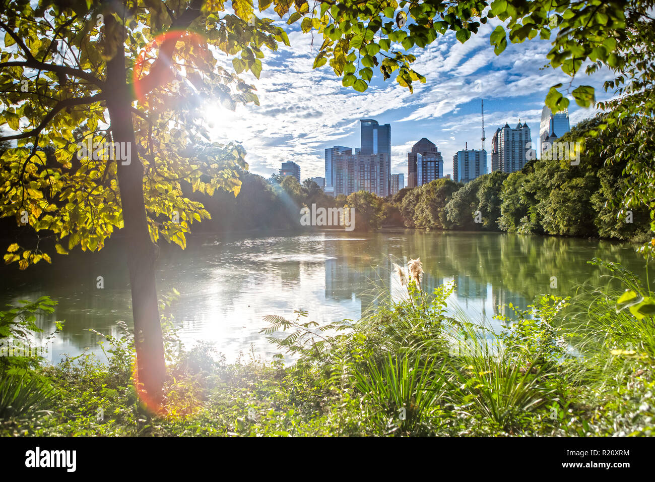 Atlanta Skyline da Piedmont Park Foto Stock