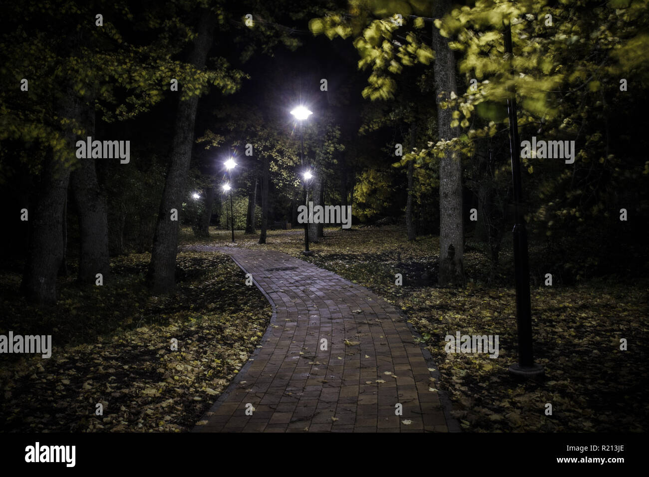 Vuoto marciapiede pavimentato con foglie di autunno attraverso il buio e park Foto Stock
