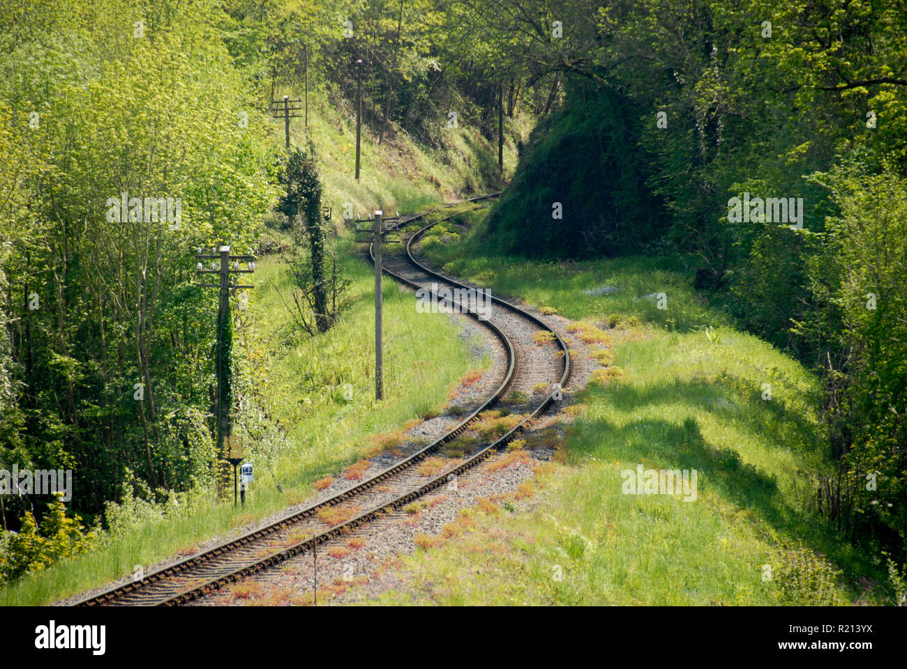 S curve sulla sezione di single-via linea ferroviaria, Severn Valley Railway, Inghilterra Foto Stock