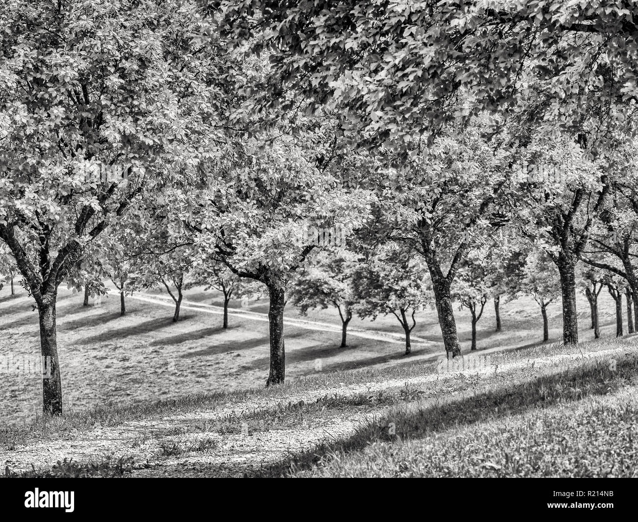 Mostviertel area in Austria Foto Stock