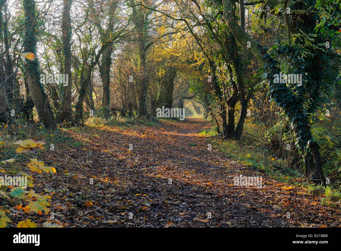 Sentiero est leeds immagini e fotografie stock ad alta risoluzione - Alamy
