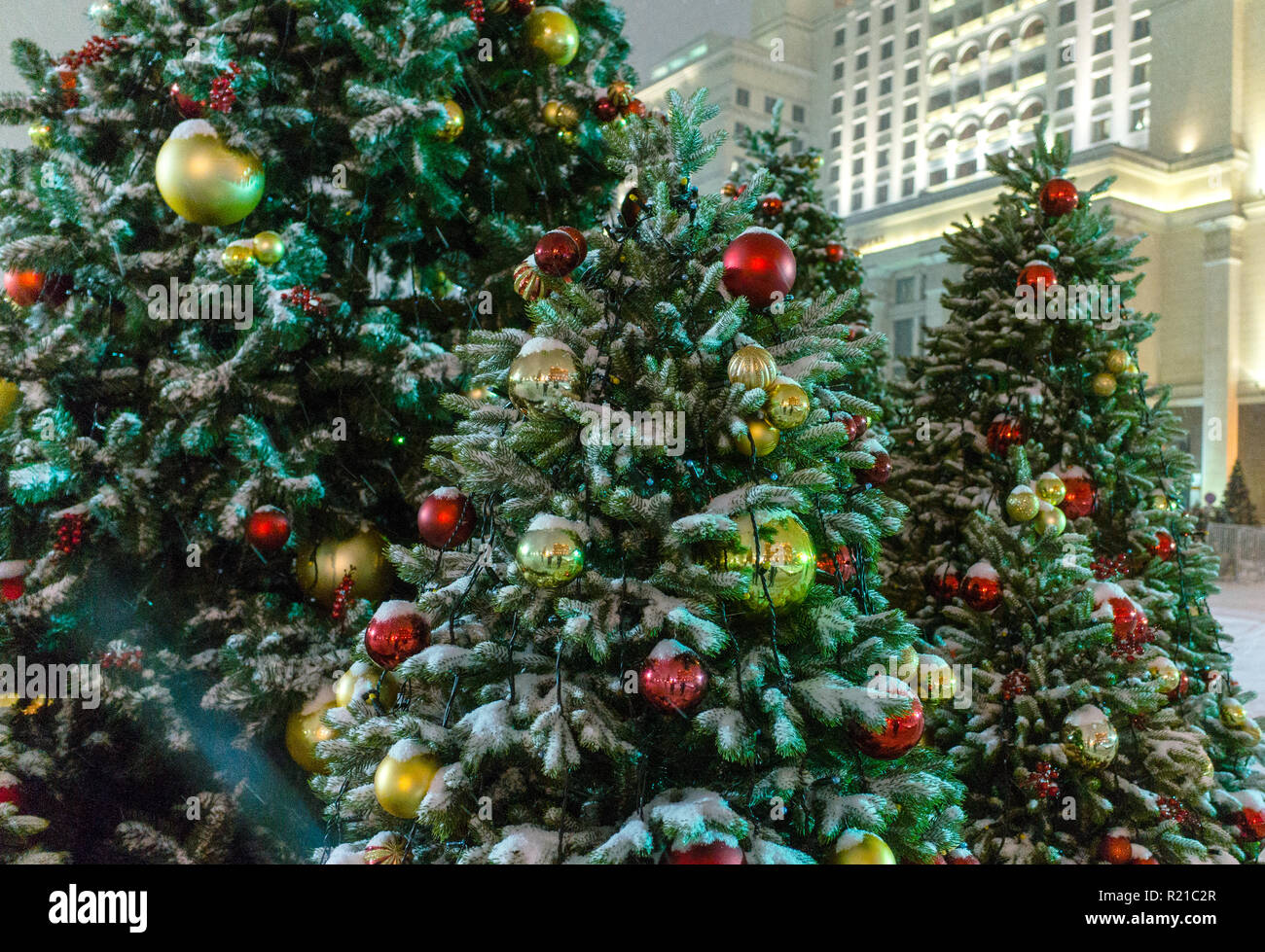 Alberi di Natale in Piazza Manezh di Mosca Foto Stock