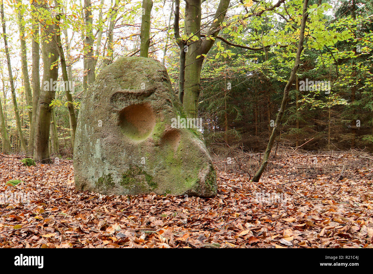 Menhir teschio di pietra è un masso nei boschi sulla regione Sedlcansko, Repubblica Ceca Foto Stock