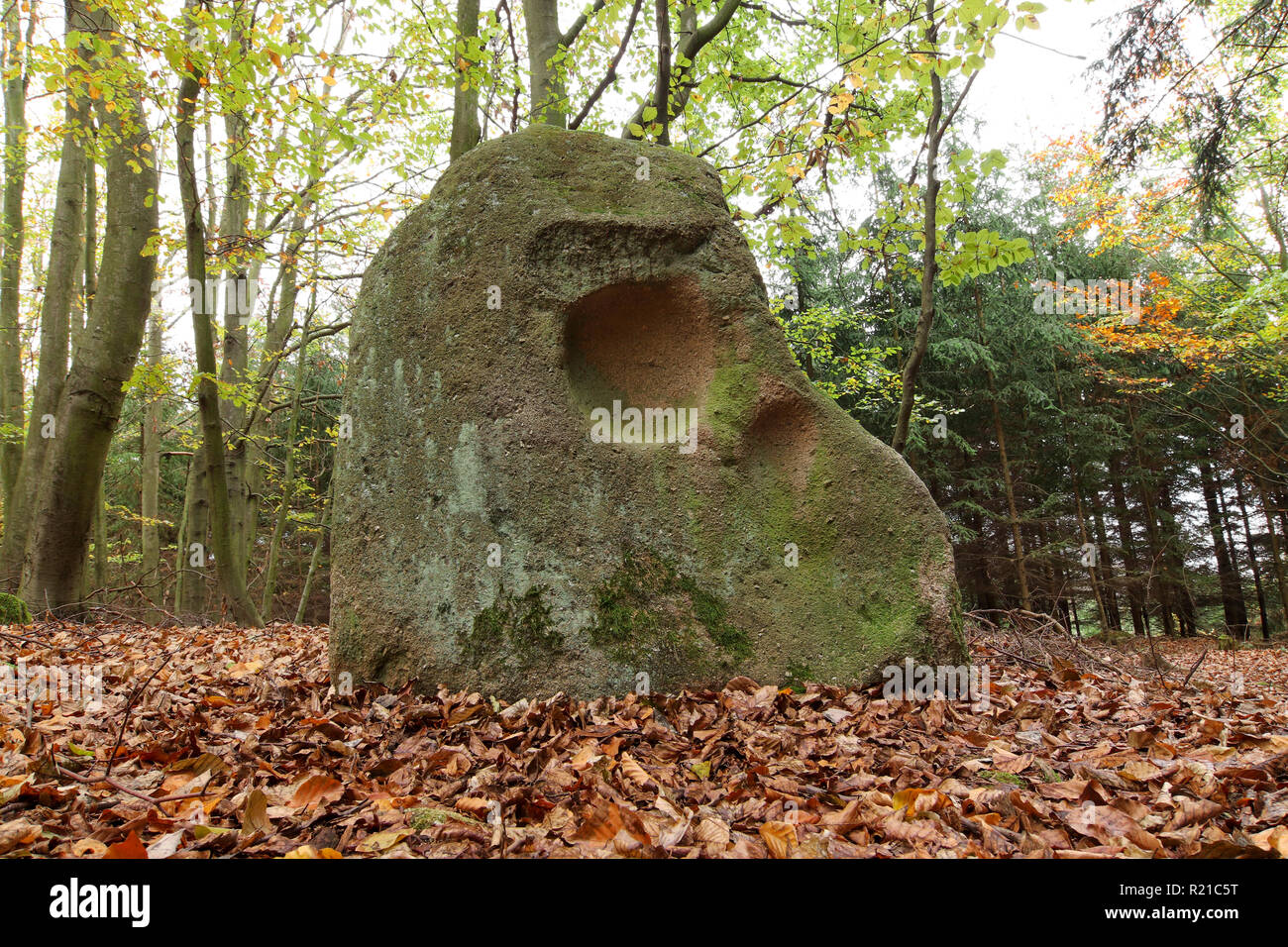 Menhir teschio di pietra è un masso nei boschi sulla regione Sedlcansko, Repubblica Ceca Foto Stock