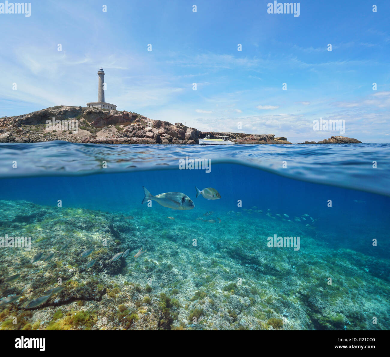 Costa rocciosa con un faro e pesce subacquea, vista suddivisa per metà al di sopra e al di sotto della superficie dell'acqua, mare Mediterraneo, Cabo de Palos, Cartagena, Spagna Foto Stock