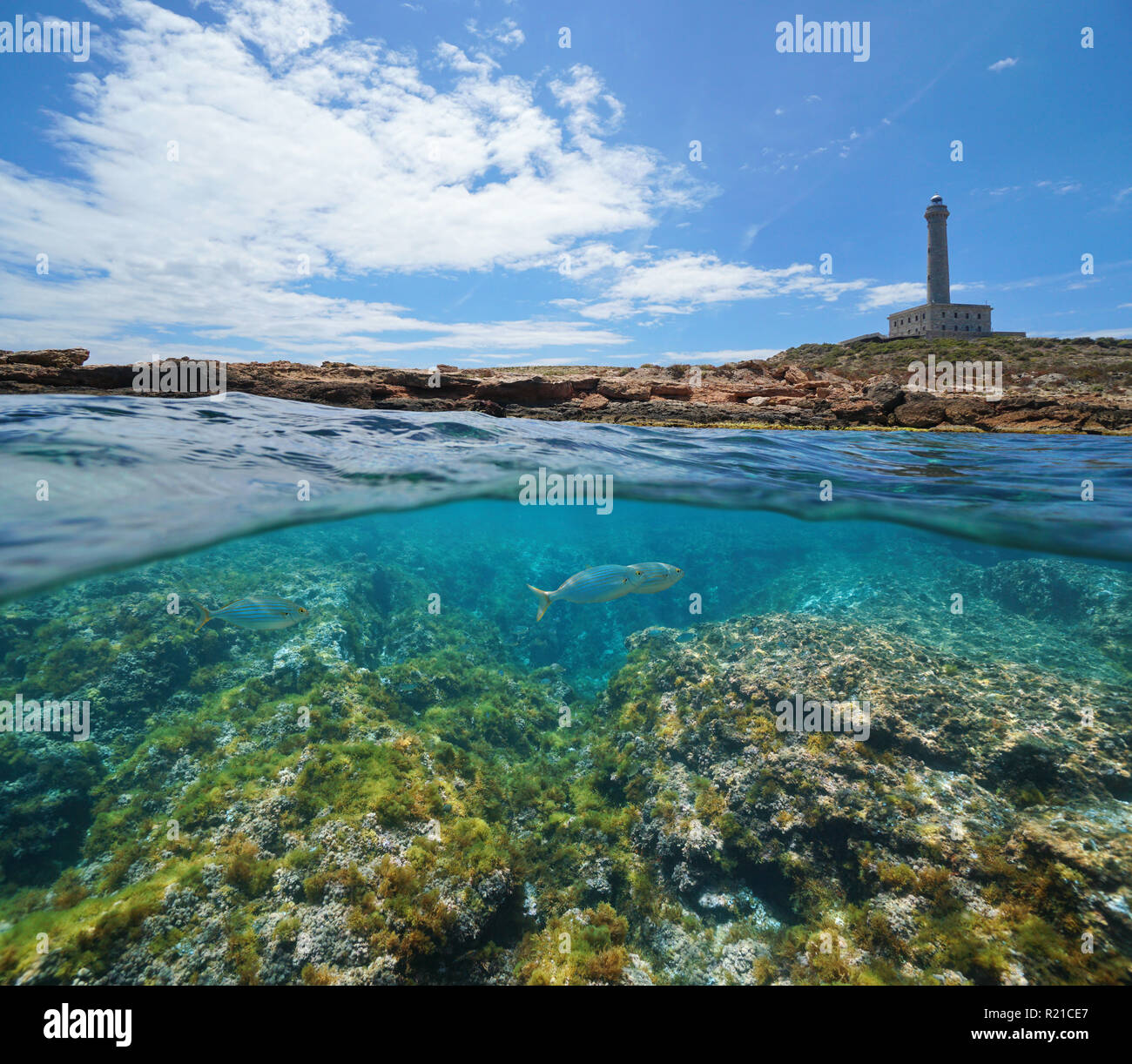 Costa con un faro e fondali rocciosi con pesce subacquea, vista suddivisa per metà al di sopra e al di sotto della superficie, il mar Mediterraneo, Cabo de Palos, Spagna Foto Stock