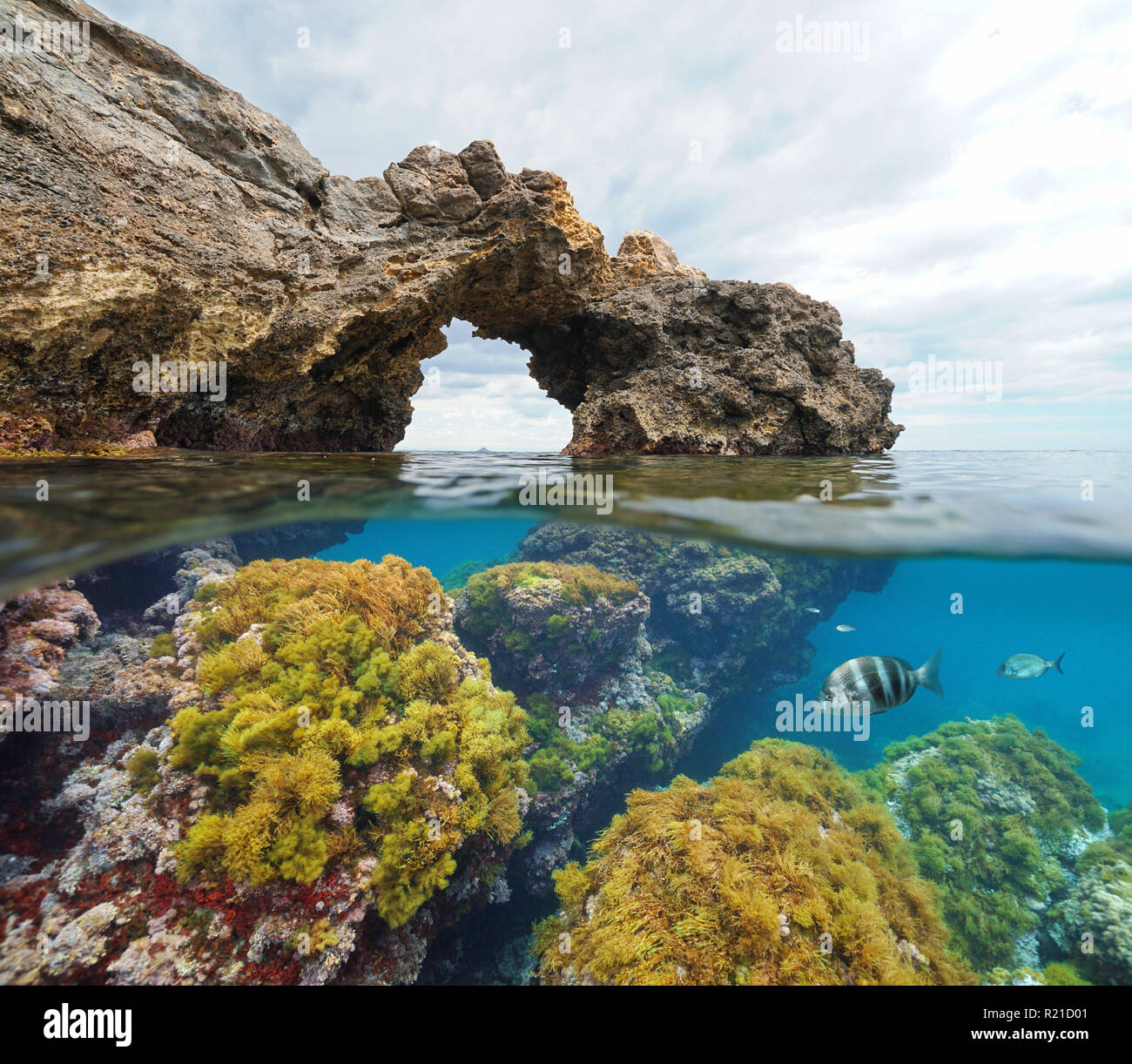 Formazione di roccia arco naturale con alghe e pesci subacquea, vista suddivisa per metà al di sopra e al di sotto della superficie dell'acqua, mare Mediterraneo, Cabo de Palos, Spagna Foto Stock