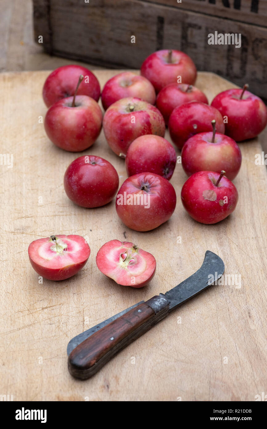 Malus domestica. Apple 'Redlove era". Raccolte "Redlove Era" Le mele su un woodenboard alcune delle quali sono state tagliate a metà per mostrare la carne rossa Foto Stock