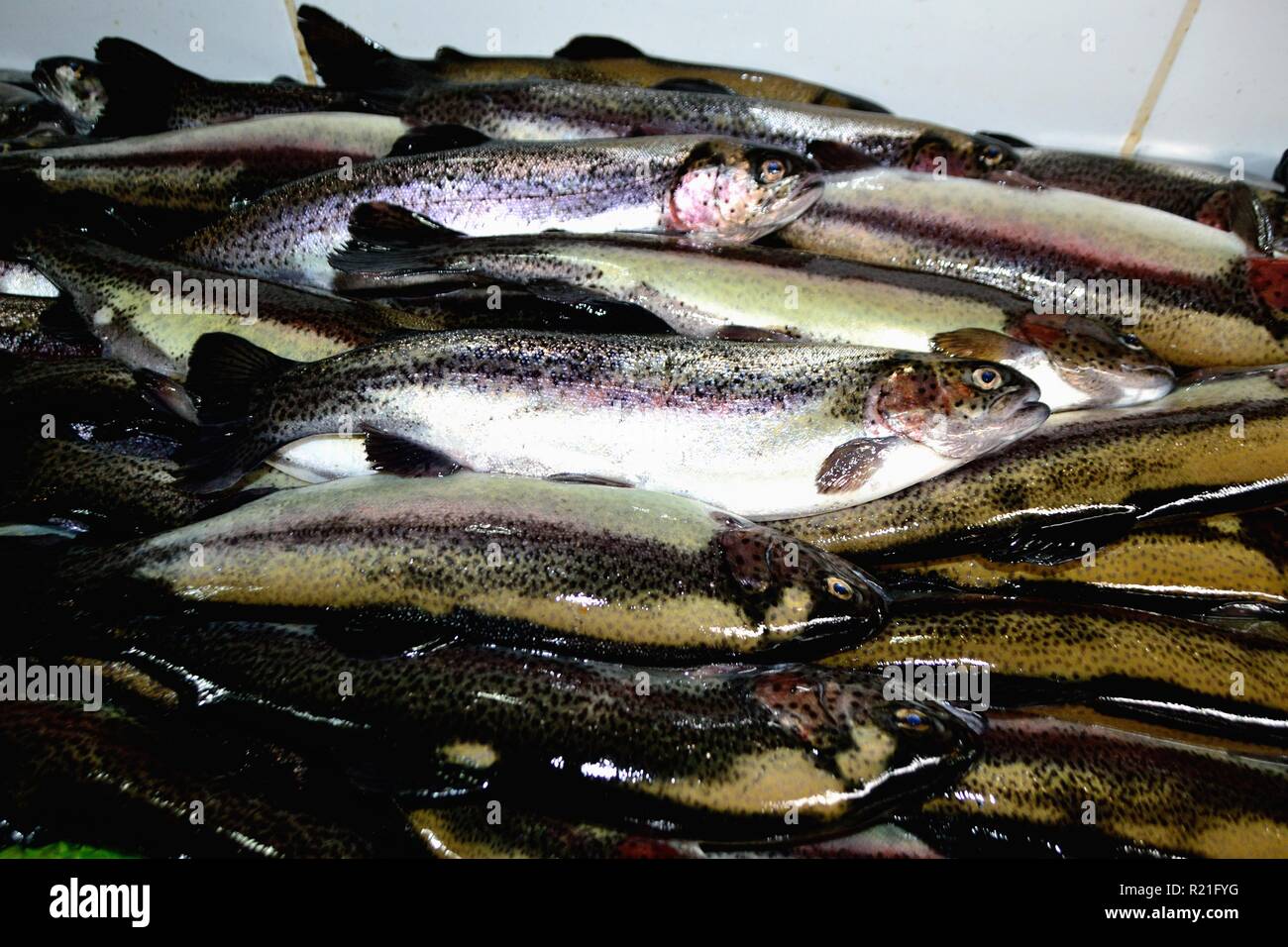 Trota- Mercato di Huaraz. Dipartimento di Ancash.PERÙ Foto Stock