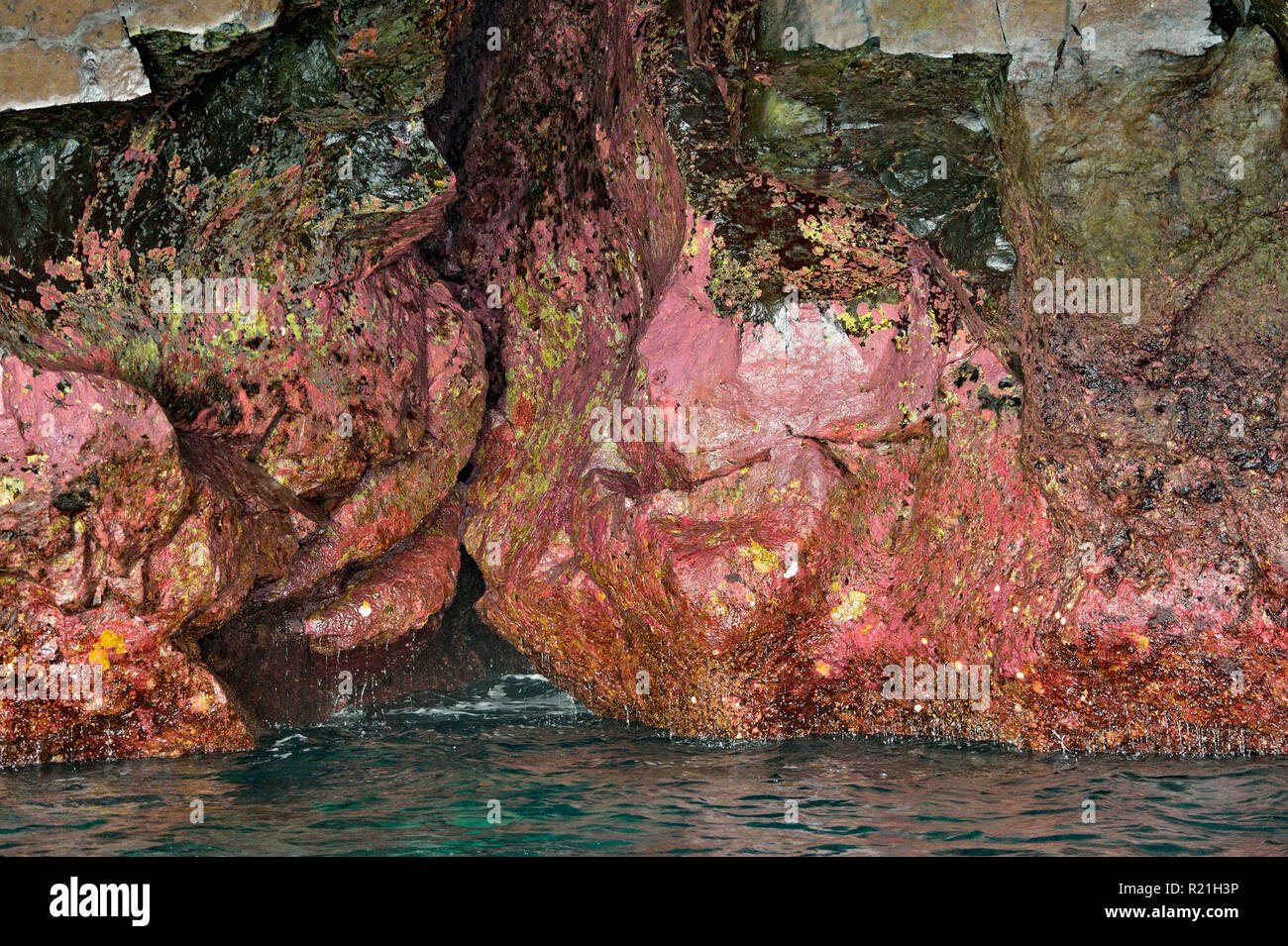 Interno di una grotta marina, Isole Galapagos National Park, Espanola (il cofano) Isola, Ecuador Foto Stock