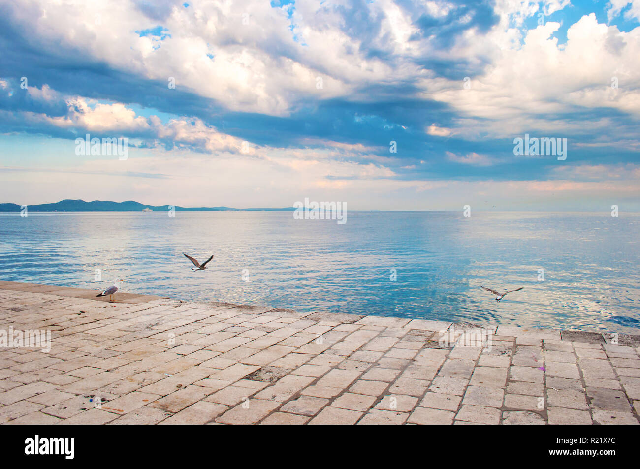 Gabbiani volando a bassa quota sopra le piastrelle di pietra marciapiede vicino la riva del mare sullo sfondo di una collina di gamma e drammatico mattino cielo nuvoloso. Zadar, croato Foto Stock