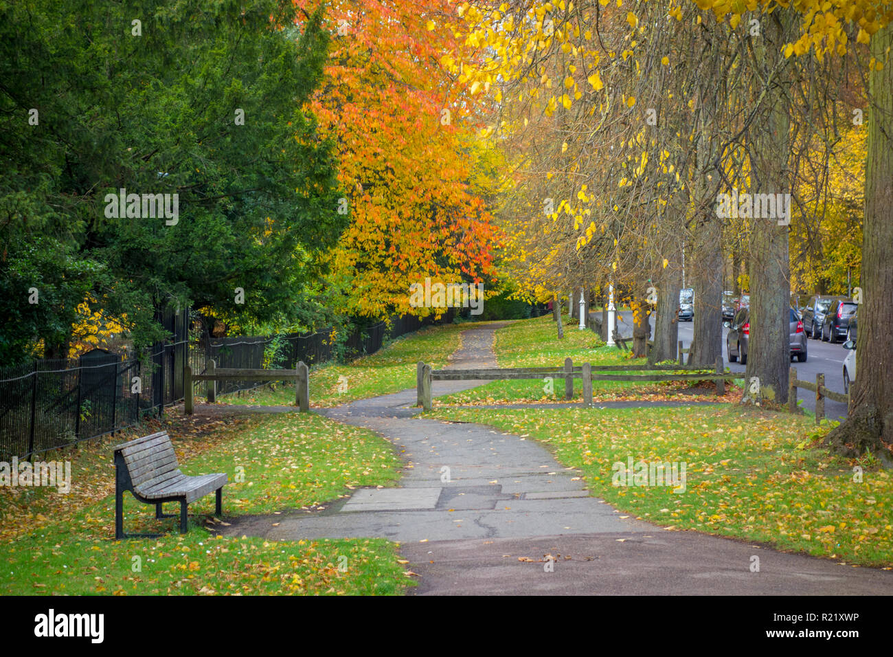 Rosso e Giallo autunno Foglie sugli alberi al di sopra di un sentiero pedonale sul dorso di Cambridge, Regno Unito Foto Stock
