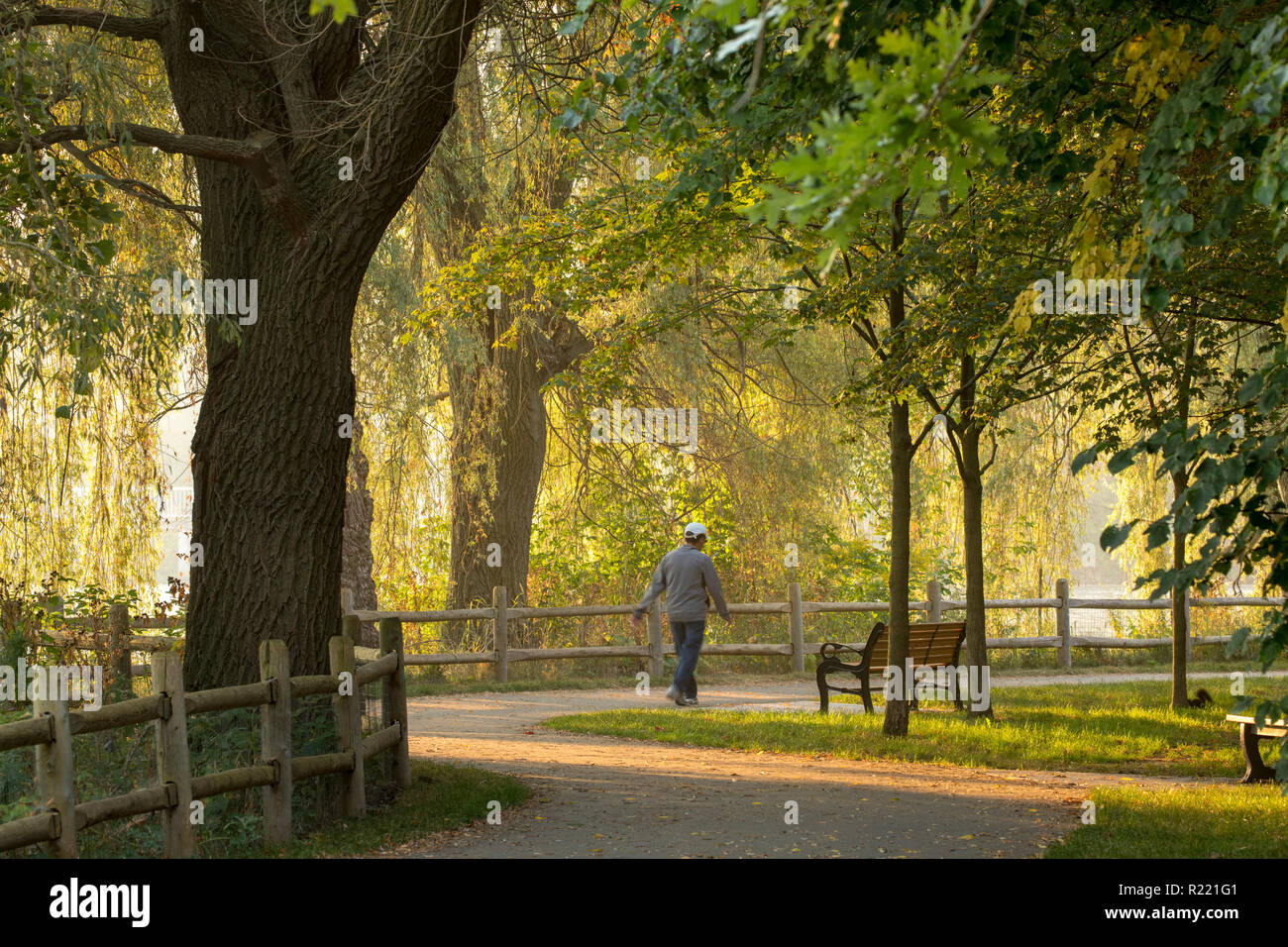 Un pedone camminando su un sentiero intorno Toogood stagno, Unionville, Markham Foto Stock