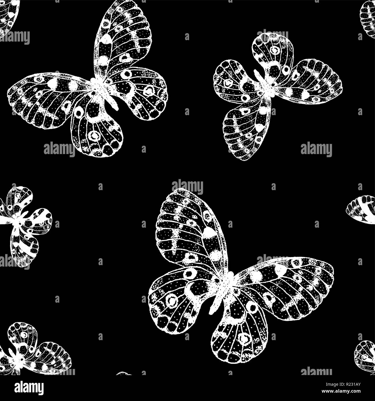 Vector pattern senza giunture di bianco disegnati a mano butterfly su sfondo nero. Parnassius apollo sullo sfondo Illustrazione Vettoriale