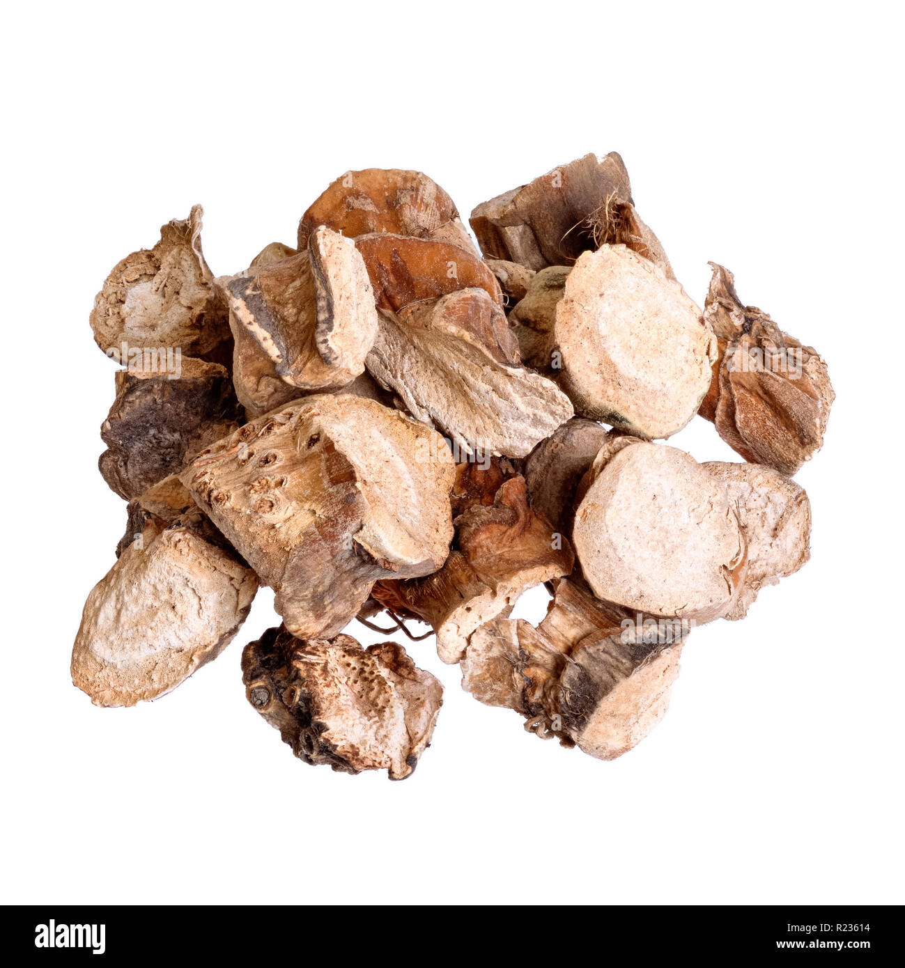 Acorus calamus-medicina tradizionale cinese, isolato su bianco. Foto Stock