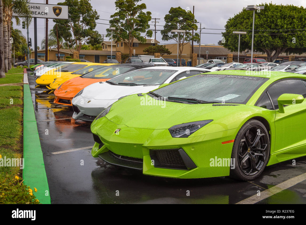 Lamborghini automobili parcheggiate nella fabbrica autorizzato concessionaria in California Foto Stock