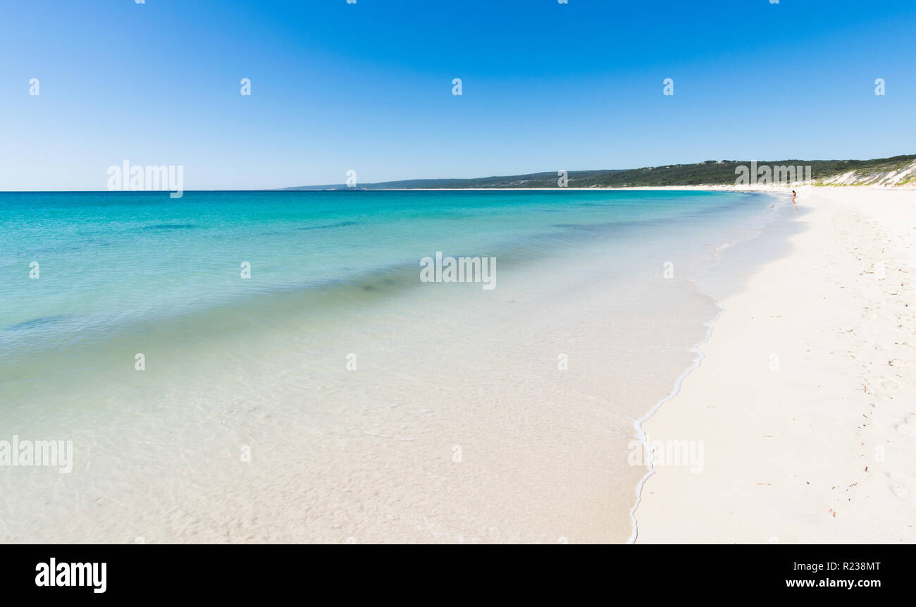 Hamelin Bay, Australia occidentale Foto Stock