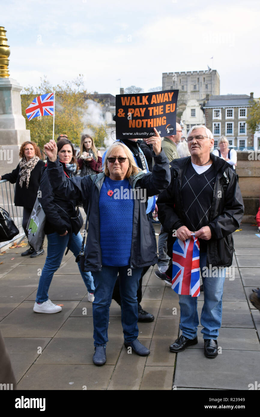 Regno Unito Unity "riprendere il controllo' pro-Brexit protesta. Norwich contro i fascisti hanno organizzato un grande bancone-dimostrazione. Norwich, Regno Unito 10 novembre 2018 Foto Stock