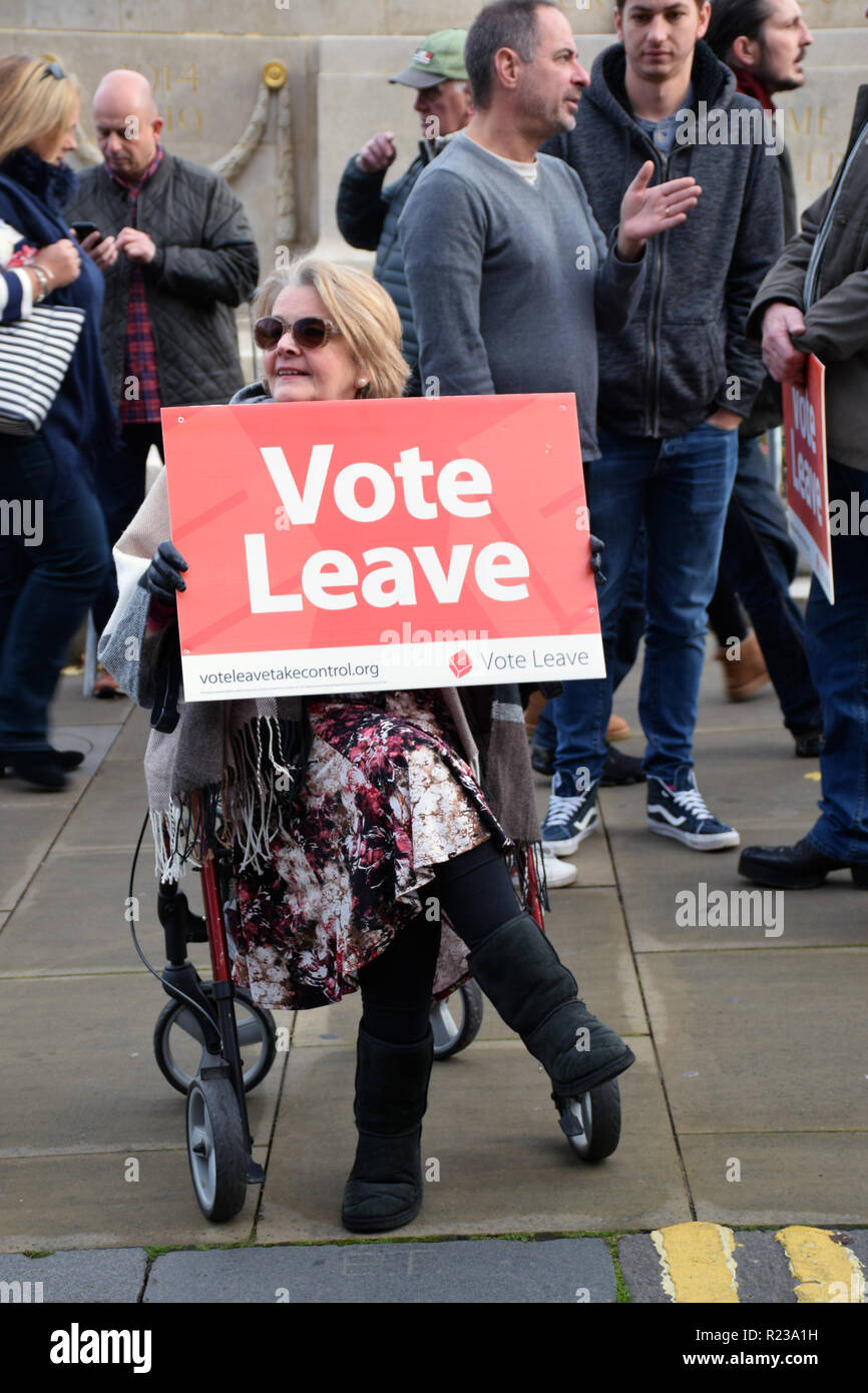 Regno Unito Unity "riprendere il controllo' pro-Brexit protesta. Norwich contro i fascisti hanno organizzato un grande bancone-dimostrazione. Norwich, Regno Unito 10 novembre 2018 Foto Stock