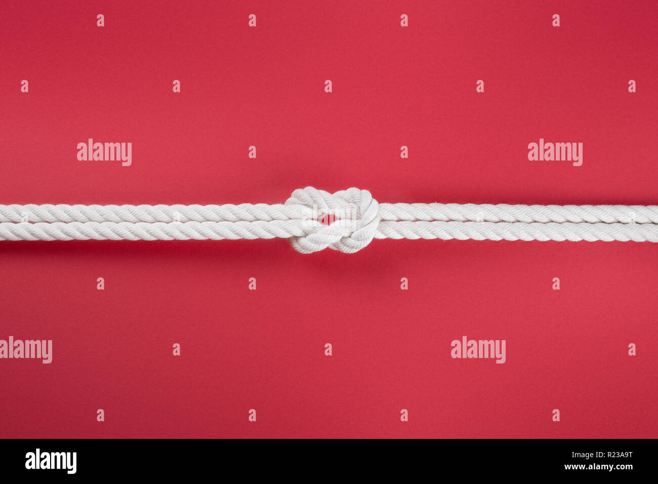 White Ship funi collegate dal nodo della barriera corallina. Su sfondo rosso Foto Stock