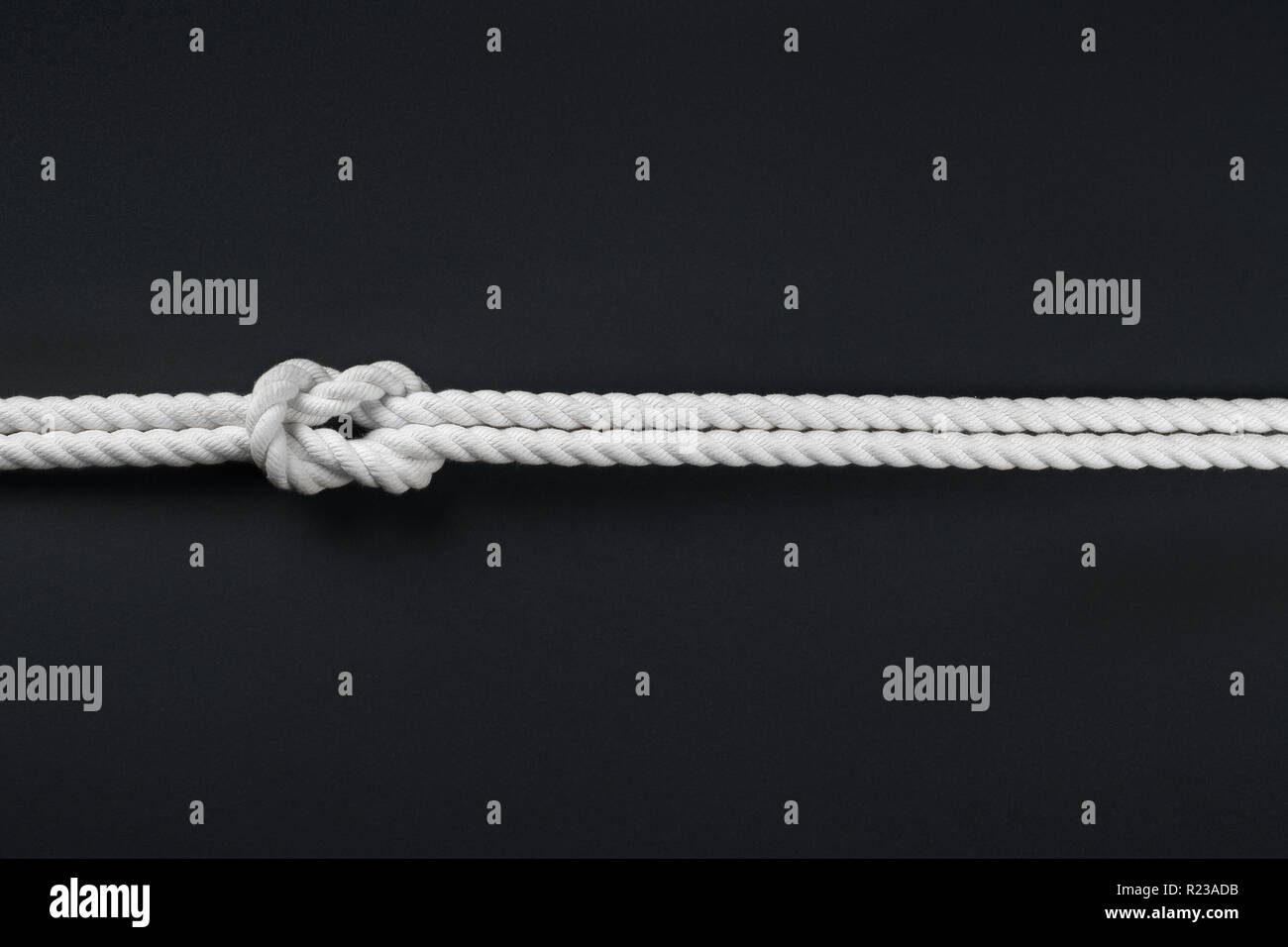 White Ship funi collegate dal nodo della barriera corallina. Su sfondo nero Foto Stock