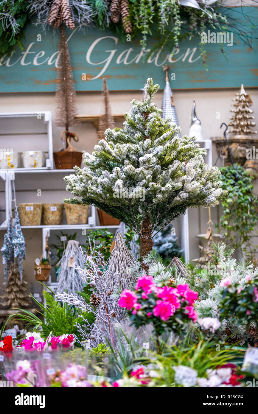 Piccolo albero di Natale con la neve e i fiori in un giardino Store Foto Stock