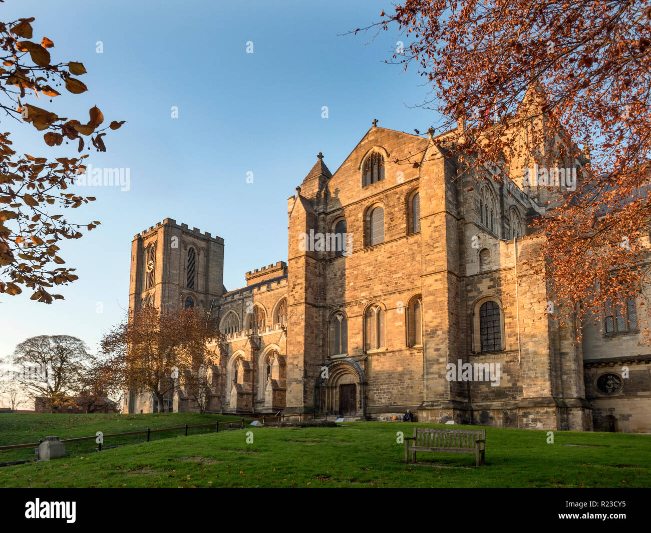Nella cattedrale di Ripon al tramonto in autunno Ripon North Yorkshire, Inghilterra Foto Stock