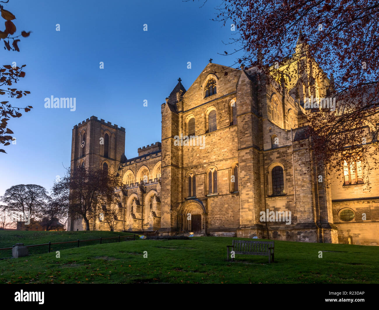 Nella cattedrale di Ripon illuminate al tramonto in autunno Ripon North Yorkshire, Inghilterra Foto Stock