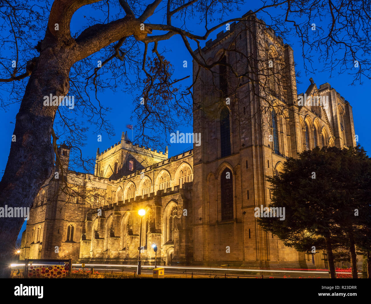 Struttura a sbalzo e cattedrale di Ripon illuminati al crepuscolo Ripon North Yorkshire, Inghilterra Foto Stock