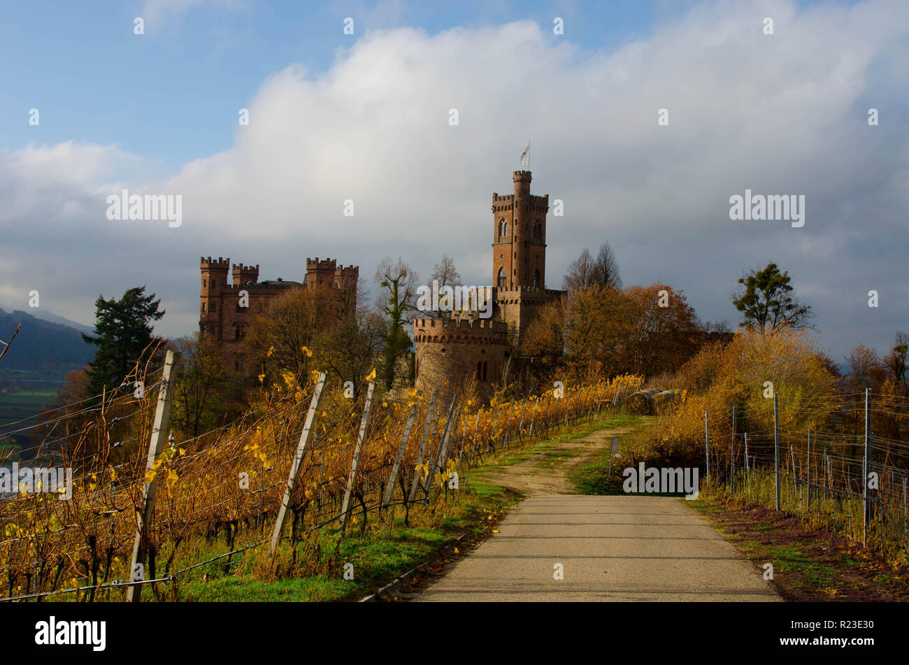 Il castello Ortenberg e i suoi vigneti circostanti nella foresta nera in Germania Foto Stock