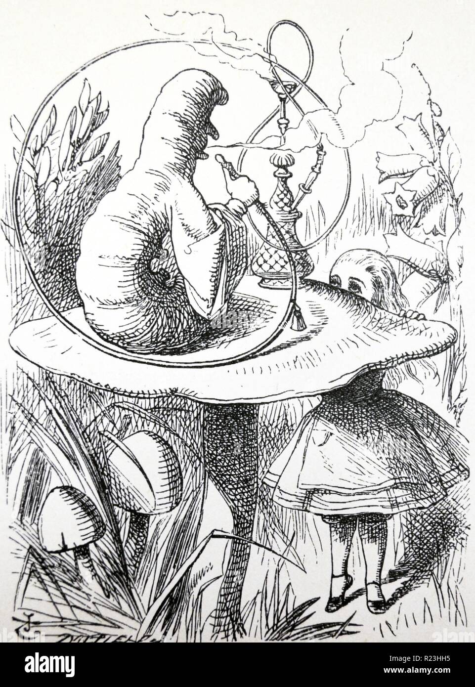 Alice, dopo aver provato il flacone etichettato 'Drink di me " e ridotti in conseguenza, deve alzarsi sulla punta-punta a parlare con il bruco seduti su un toadstool, fumare un narghilè. Illustrazione di John Tenniel per ''Alice nel Paese delle Meraviglie", Londra, 1865. Foto Stock