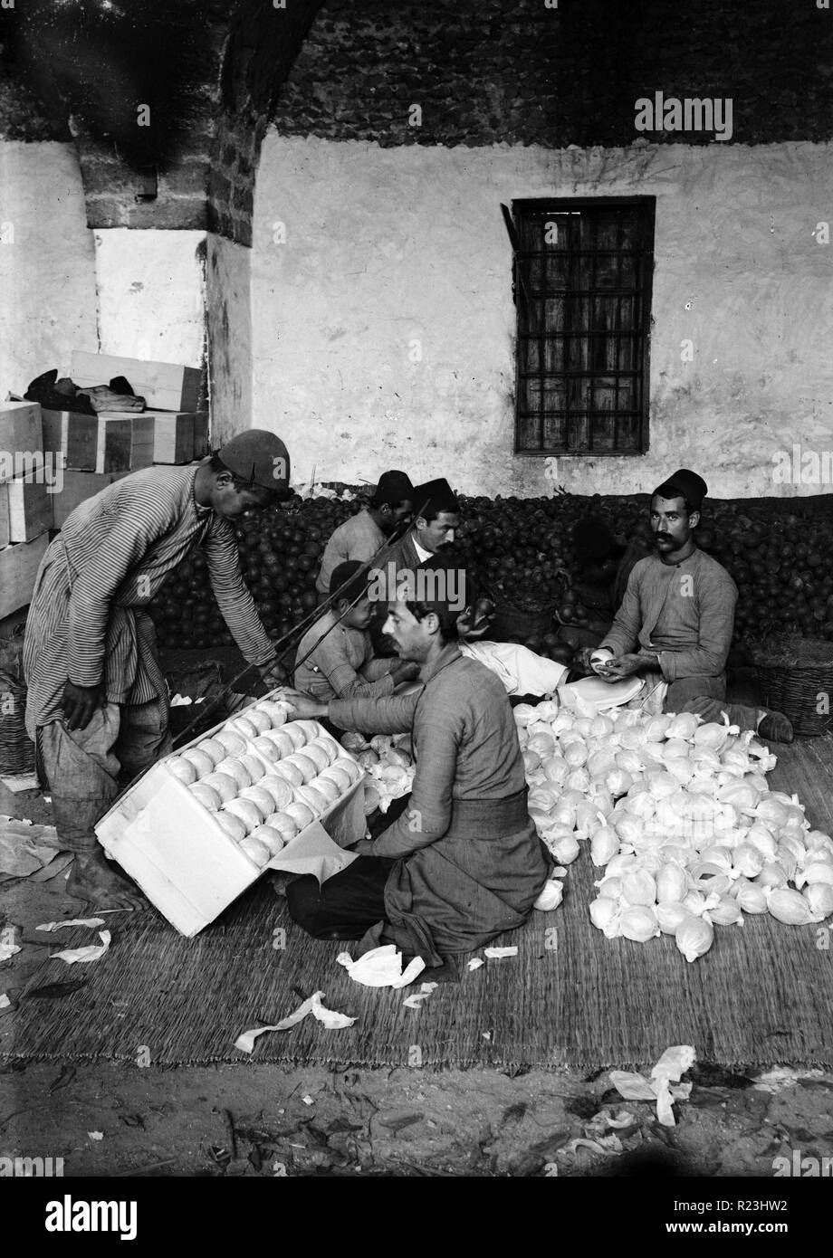 Arance di imballaggio. Jaffa arancione della cultura. Palestina (Israele). 1913 Foto Stock