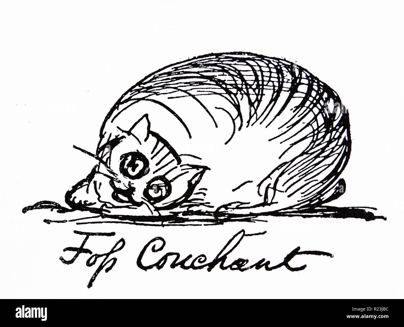 Un gatto caracater da Edward Lear (1812-1888) artista inglese, illustrator, autore e poeta, ed è nota soprattutto per la sua assurdità letteraria in prosa e poesia e soprattutto il suo limerick, Foto Stock
