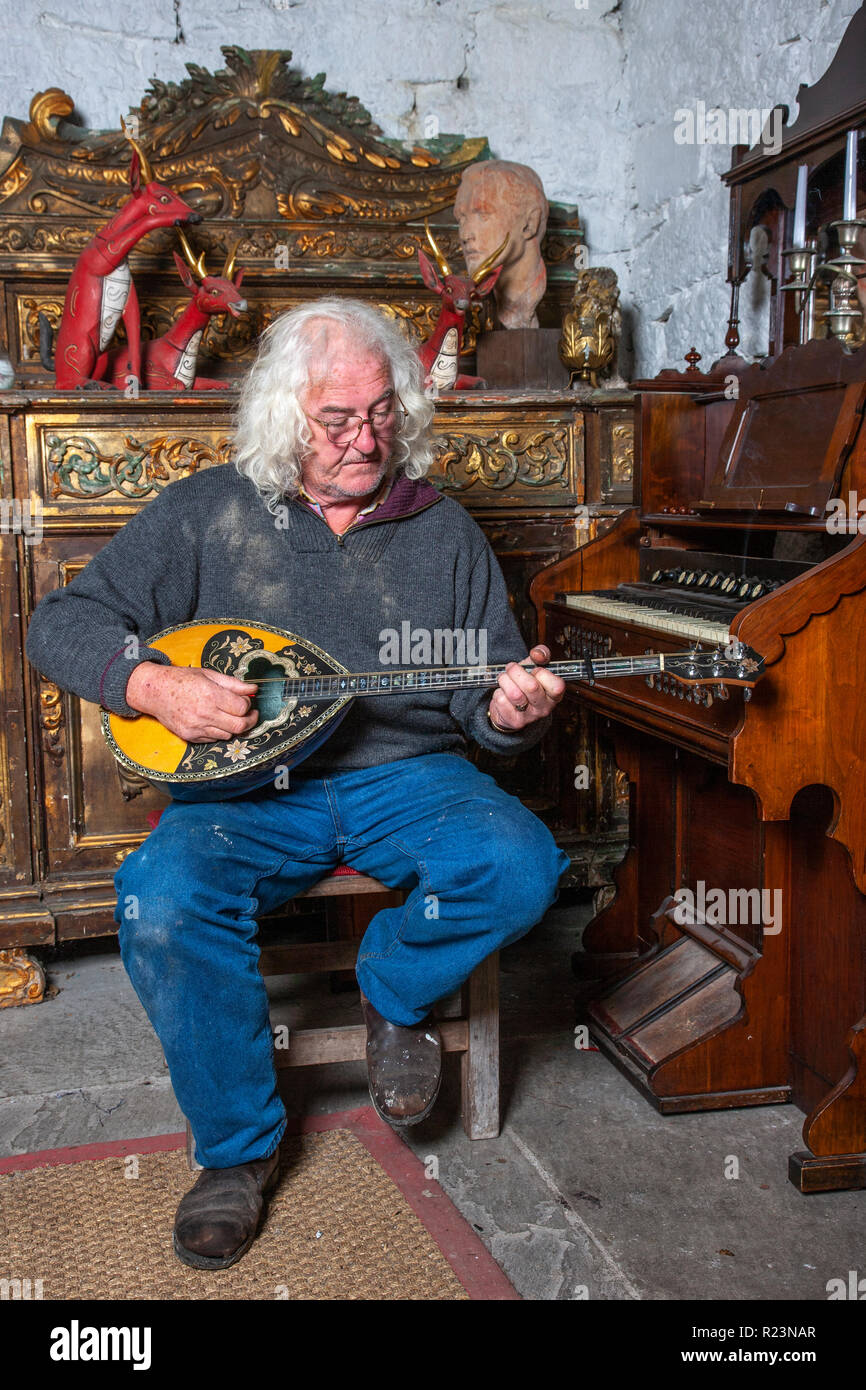 Alec Finn leggendario musicista irlandese e fondatore di De Dannan Foto Stock