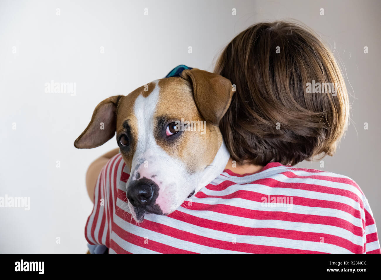 Amore e gentilezza al concetto di animali. La donna avvolge il suo cane in sfondo per studio Foto Stock