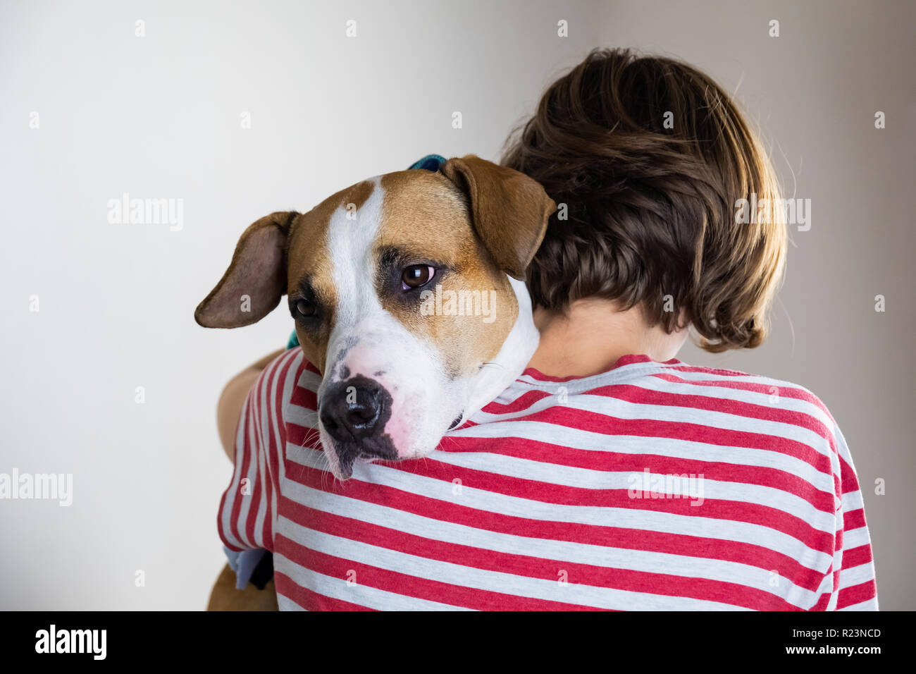 Amore e gentilezza al concetto di animali. La donna avvolge il suo cane in sfondo per studio Foto Stock