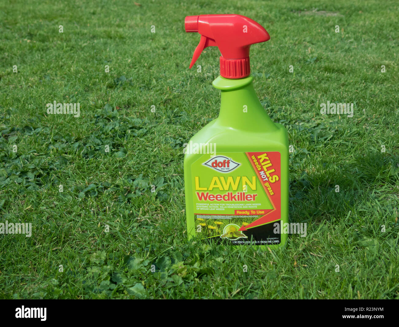 La bottiglia spray di Doff marca Prato erbicida ( per uccidere le erbe infestanti nei prati ), REGNO UNITO Foto Stock