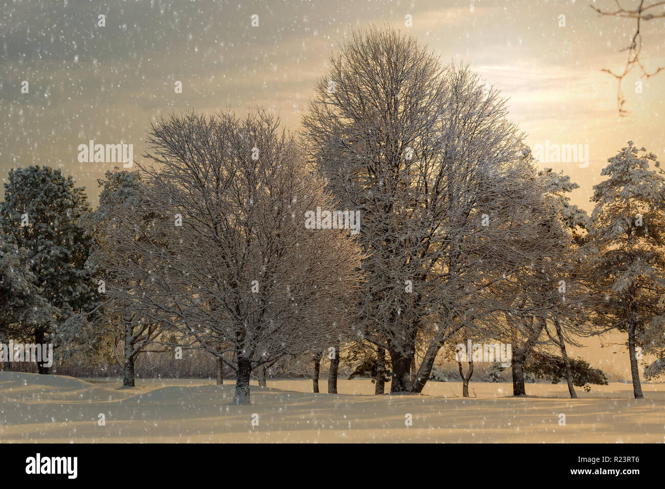 La neve che cade su di un paesaggio invernale. Foto Stock
