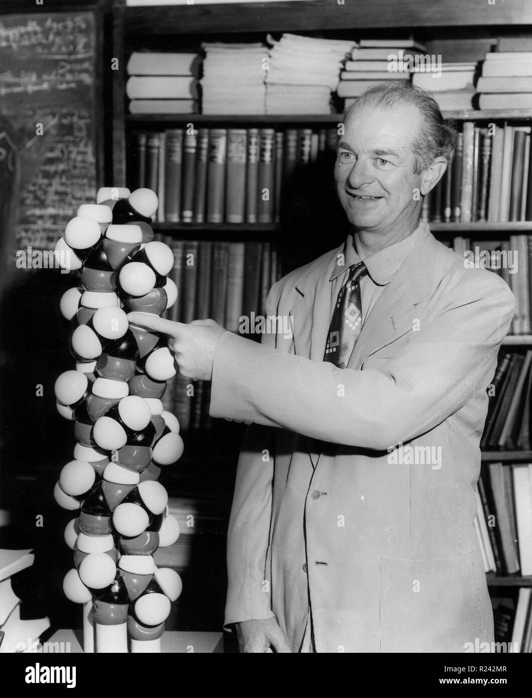 Linus Pauling in piedi di fronte ad uno scaffale che puntano a un modello molecolare 1954. Linus Pauling (1901-1994) American farmacia. ha vinto il 1954 e il 1962 il Premio Nobel per la chimica Foto Stock