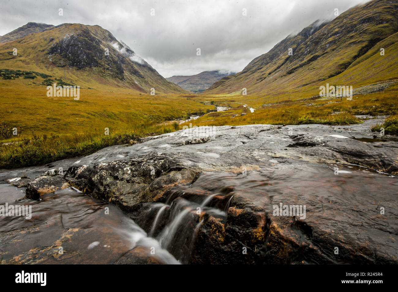 Un cervo con le sue uova e lattimi a Glen Etive come si diventa di colore arancione per l'autunno arriva per il Highland glens. Dotato di: Glen Etive dove: Glen Etive, Regno Unito quando: 16 Ott 2018 Credit: Euan ciliegio/WENN Foto Stock