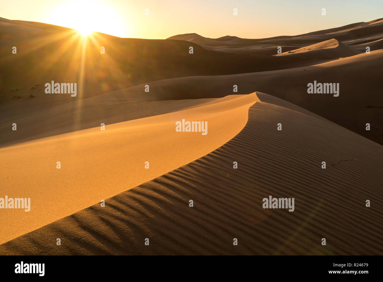 Sonnenaufgang in der Wüste Sahara bei Merzouga, Marokko | alba nel deserto del Sahara vicino a Merzouga, Regno di Marocco, Africa Foto Stock