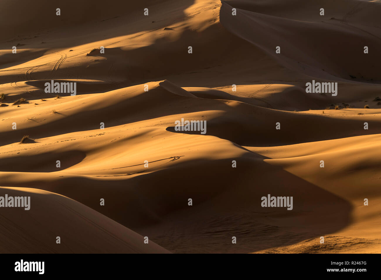 Sabbia dünen in der Wüste Sahara bei Merzouga, Marokko | le dune di sabbia del deserto del Sahara vicino a Merzouga, Regno di Marocco, Africa Foto Stock