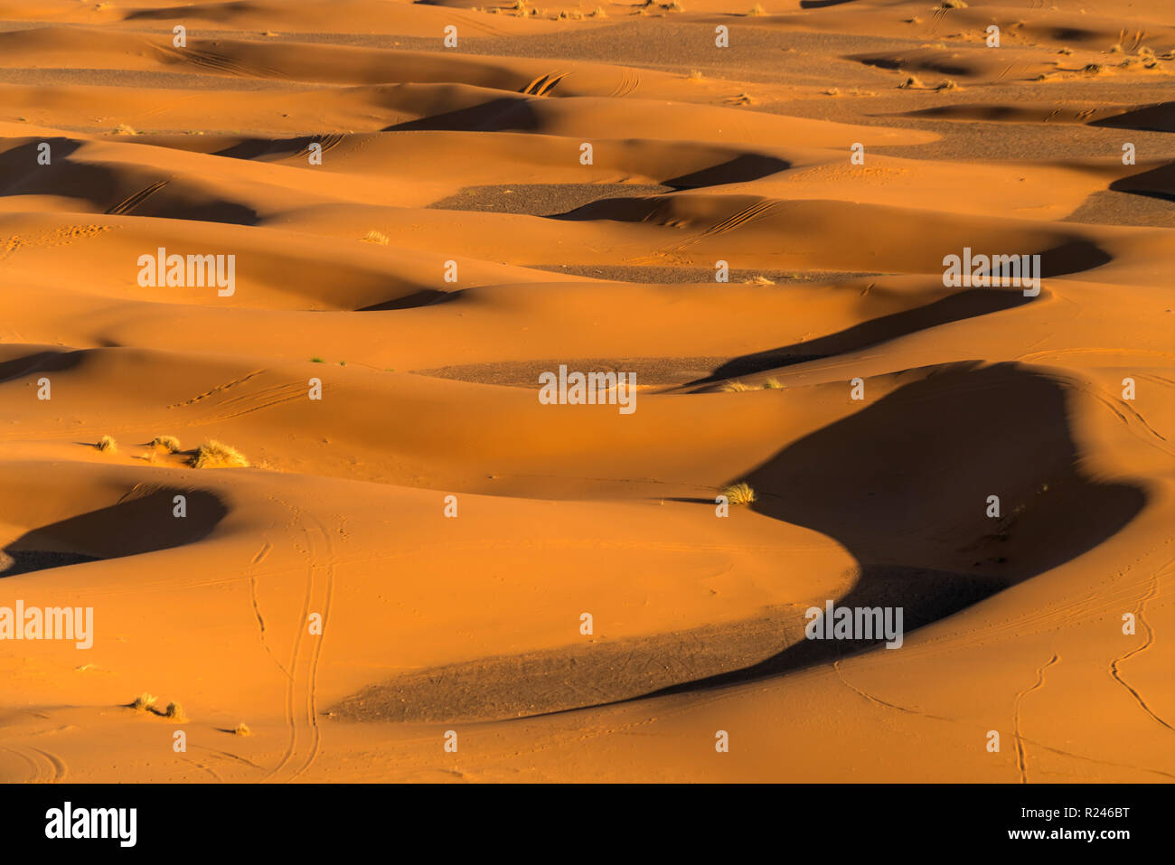 Sabbia dünen in der Wüste Sahara bei Merzouga, Marokko | le dune di sabbia del deserto del Sahara vicino a Merzouga, Regno di Marocco, Africa Foto Stock